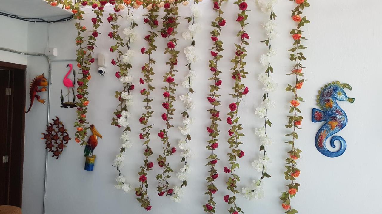 Posada Bugambilia Mazatlán Exteriér fotografie